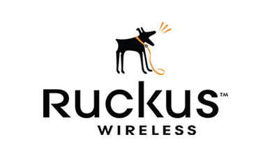 Ruckus Security components